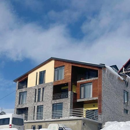 Dandelion Hotel Gudauri Ganisi Exteriör bild